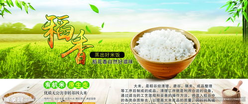 有機(jī)米 原生態(tài)、非轉(zhuǎn)基因的綠色餐桌選擇